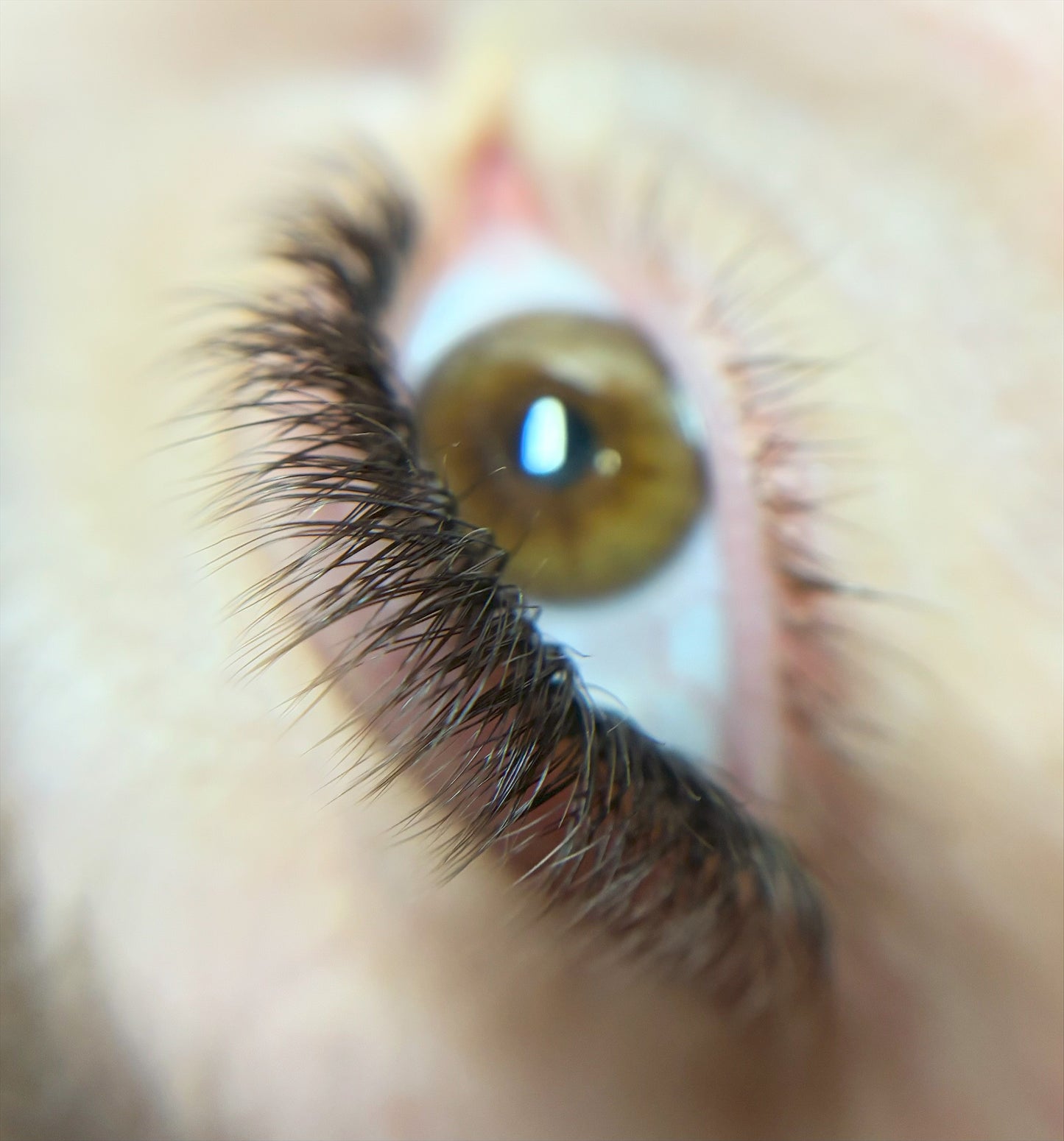 Macro Lens